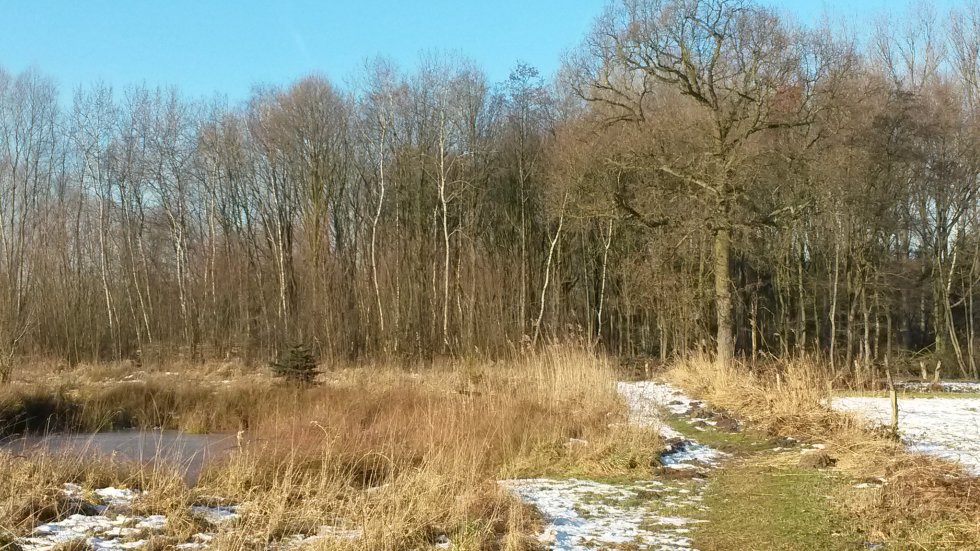 Wandeling Vossenholen, Gemonde